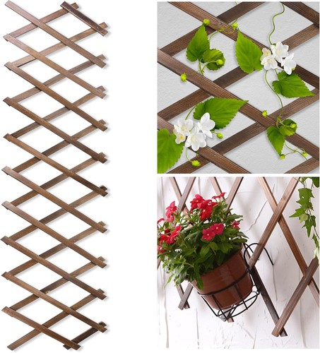 Wood lattice fence - lattice,