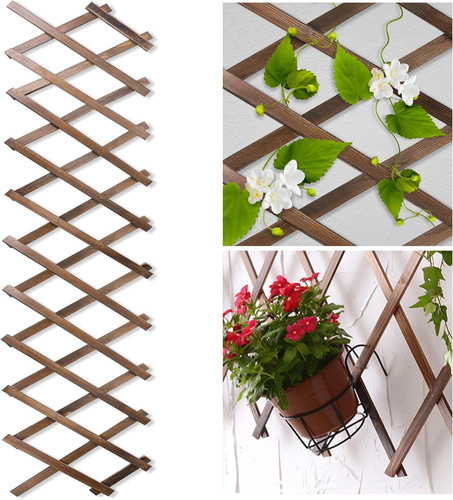 Wood lattice fence - fence, panels
