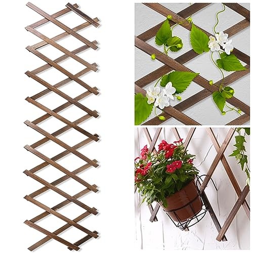 Wood lattice fence - lattice,