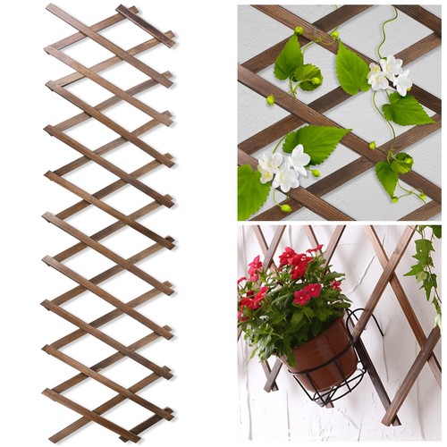 Wood lattice fence panels - wood,