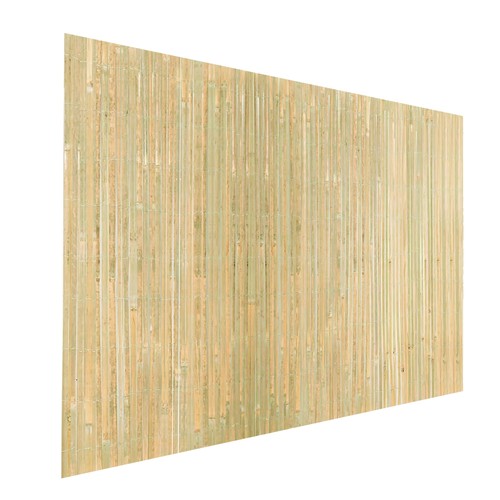 Bamboo slat fence - bamboo,